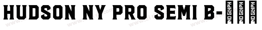 Hudson NY Pro Semi B字体转换
